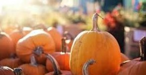 4 Fall Festivals to Visit in Ontario