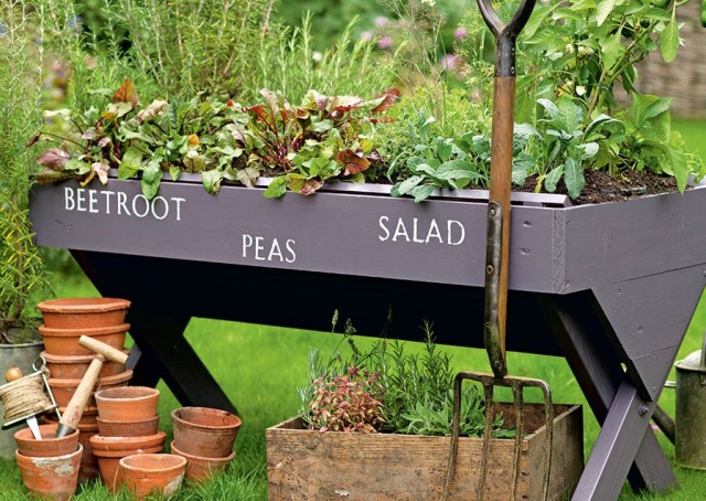 Image for article: Budget Hacks For Your Garden