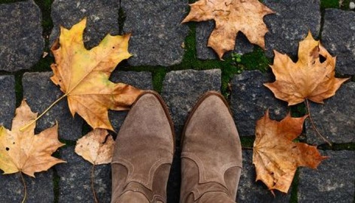 Image for article: Fall Shoe Trends That Won't Break the Bank