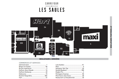 Centre Commercial Carrefour Les Saules plan