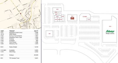 Chemong Park Plaza plan