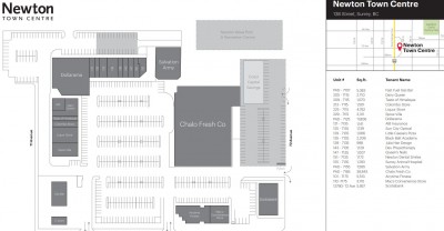 Newton Town Centre plan