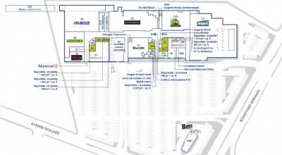 Place Newman plan