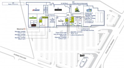 Place Newman plan