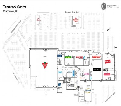 Tamarack Centre plan