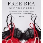 Coupon for: Victoria's Secret - The V-Day Top 10