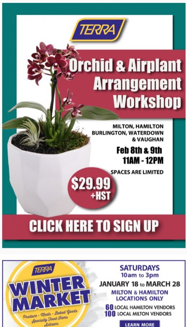 Coupon for: TERRA Greenhouses - Orchid & Airplant Workshop - THIS WEEKEND