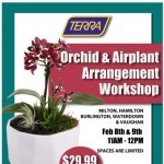 Coupon for: TERRA Greenhouses - Orchid & Airplant Workshop - THIS WEEKEND