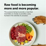 Coupon for: Mondou - Did you know? Raw food is available in all our stores